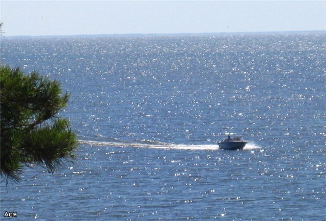 77c8a32221af.jpg