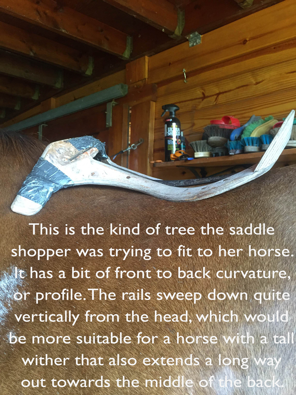 79C3B336-318E-4B5B-B84F-F85F63E8579F.jpeg