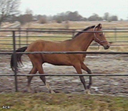 7f3ee162ad07.jpg
