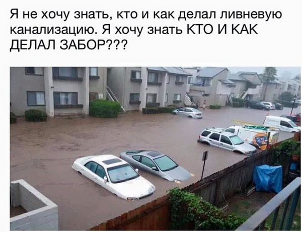 8114c5b03e3488705cc353eda2278da5.jpeg