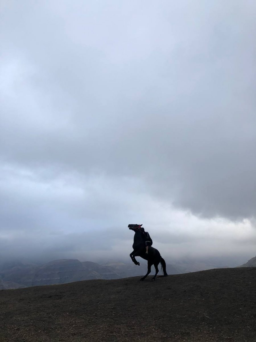 832FF8B0-25E5-4445-B36E-C5CE706D1F4F.jpeg
