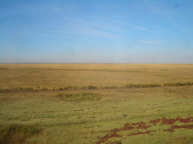 8361.jpg
