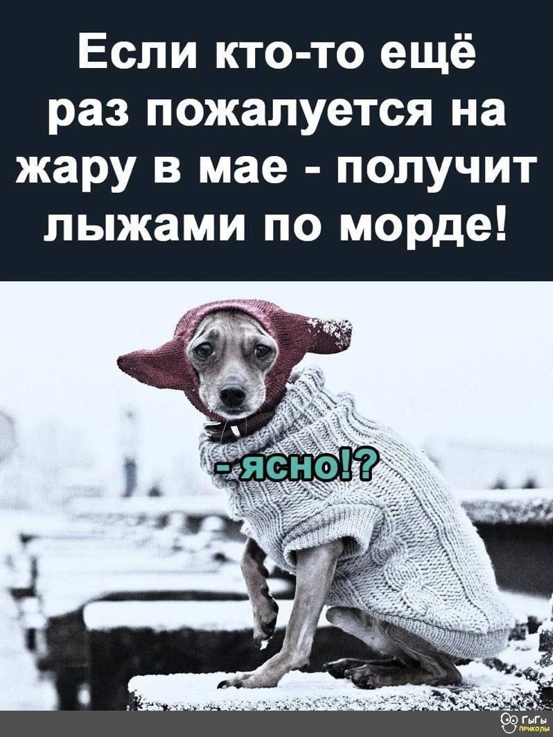 84710904-8f9f-49c0-a723-b0b9f61bba00.jpg