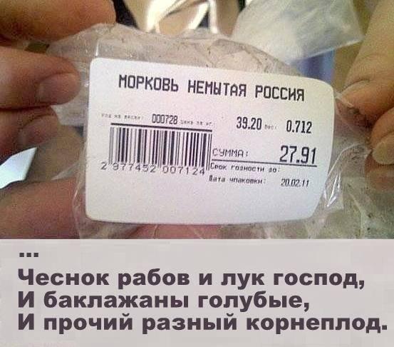 8983752.jpeg
