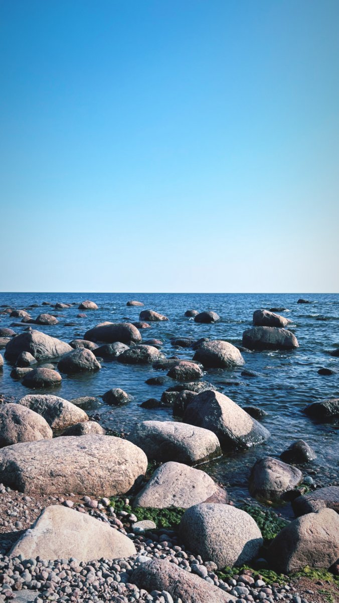 8B20F538-0716-4F38-BB86-62F62745BBB5.jpeg
