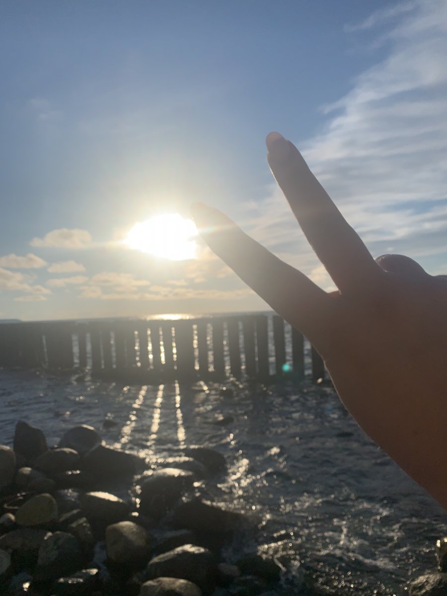 8CD1F4C2-CEC1-4B04-BC1F-8005269D91C1.jpeg