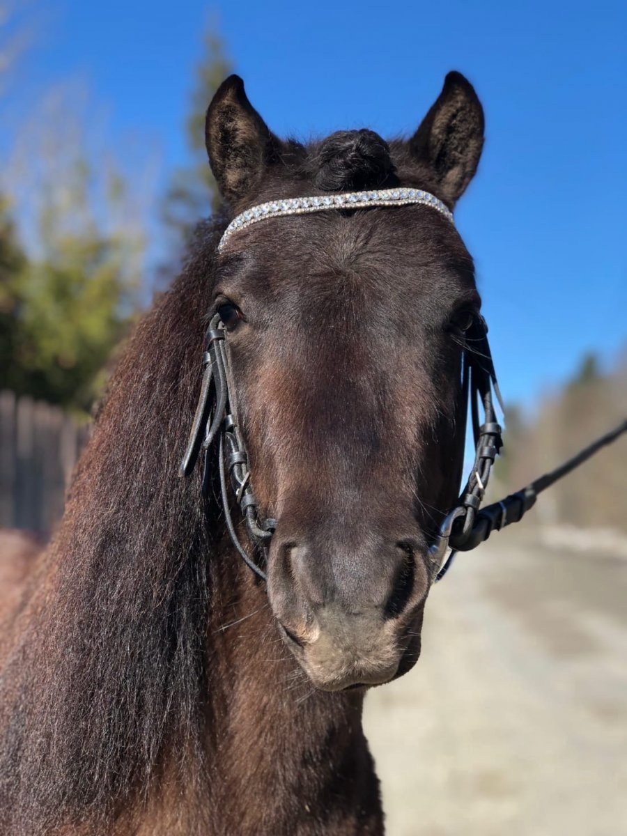 8cHNGXlO4k8XjGV-qjzM8NnGhbWsybptTSppxyb7yHm2F6BsbQbRSWSjkiJ0Rf1u-U1jTMoqxb9WFiI2uoIJdGuv (1).jpg