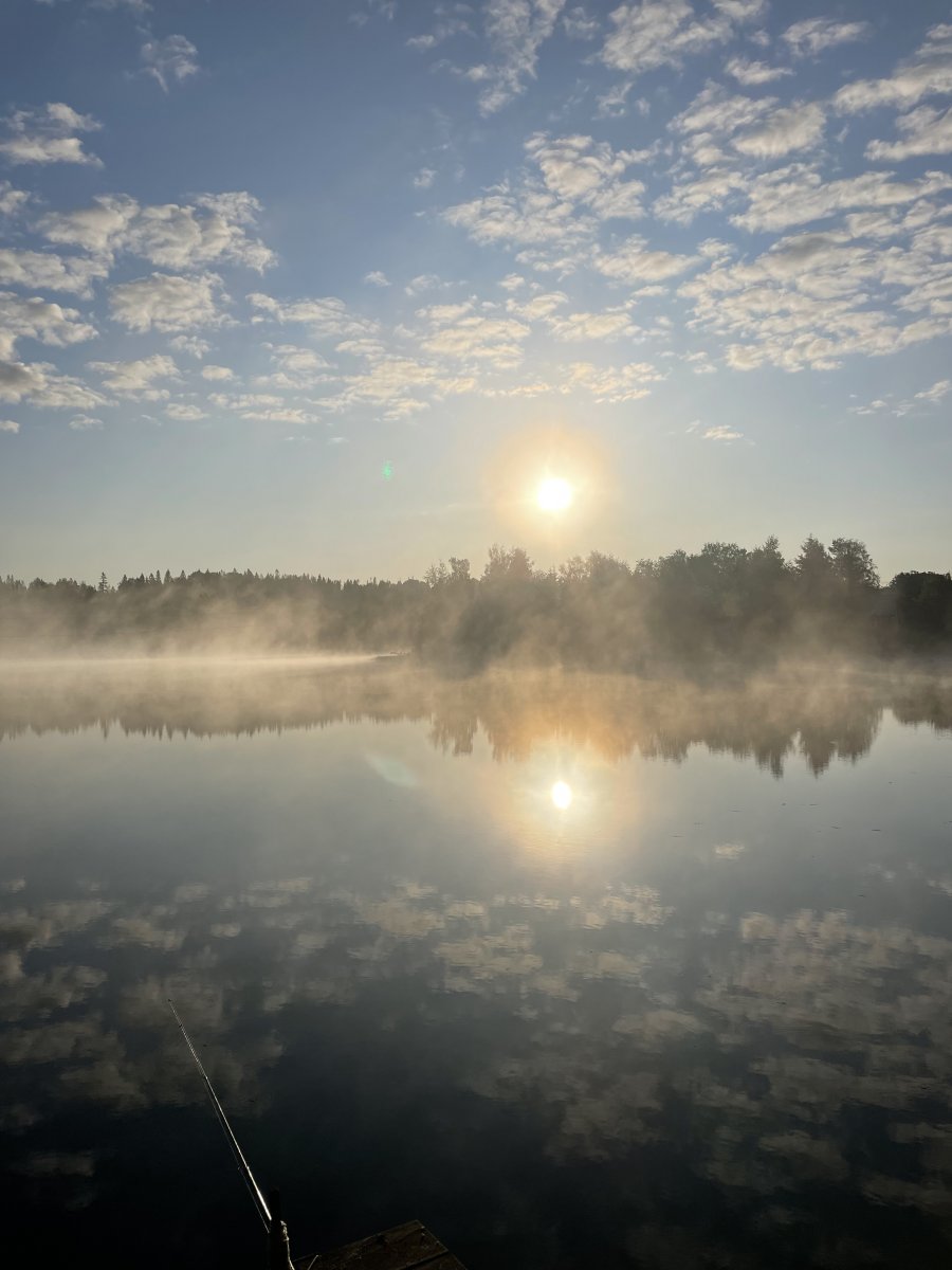 8D94E758-175B-412B-94CB-8F9BCC15DC9C.jpeg