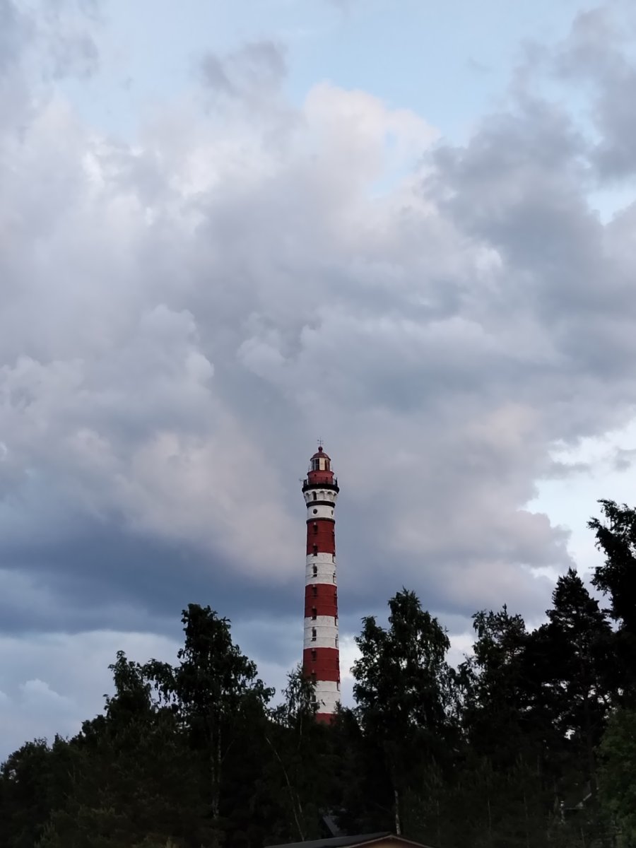 9064.jpg