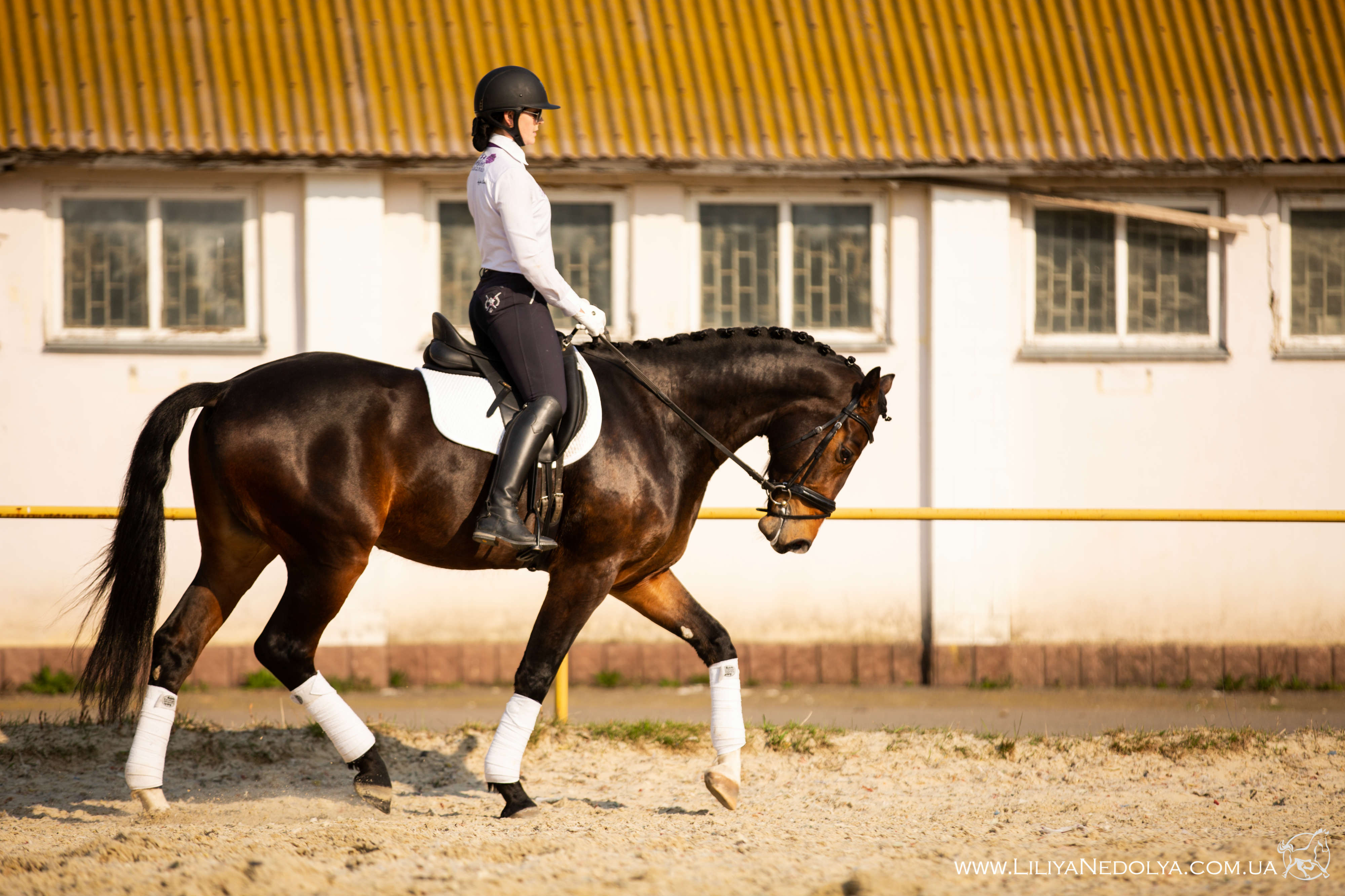 934A2571 — копия1.jpg