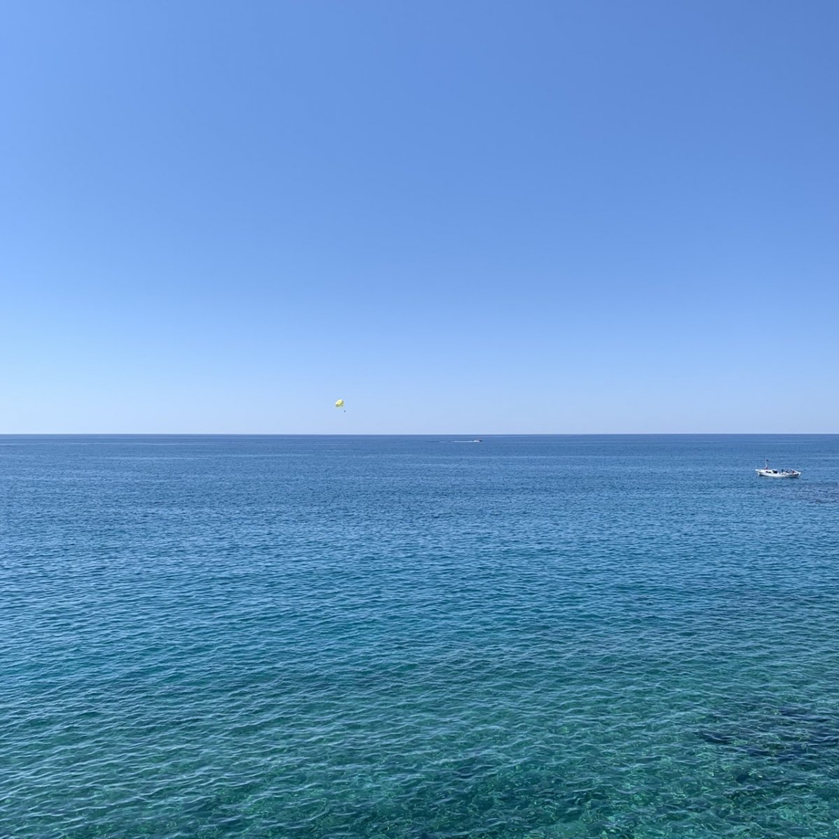 95A176A9-AEB8-4B3B-907D-ECB9E6465083.jpeg
