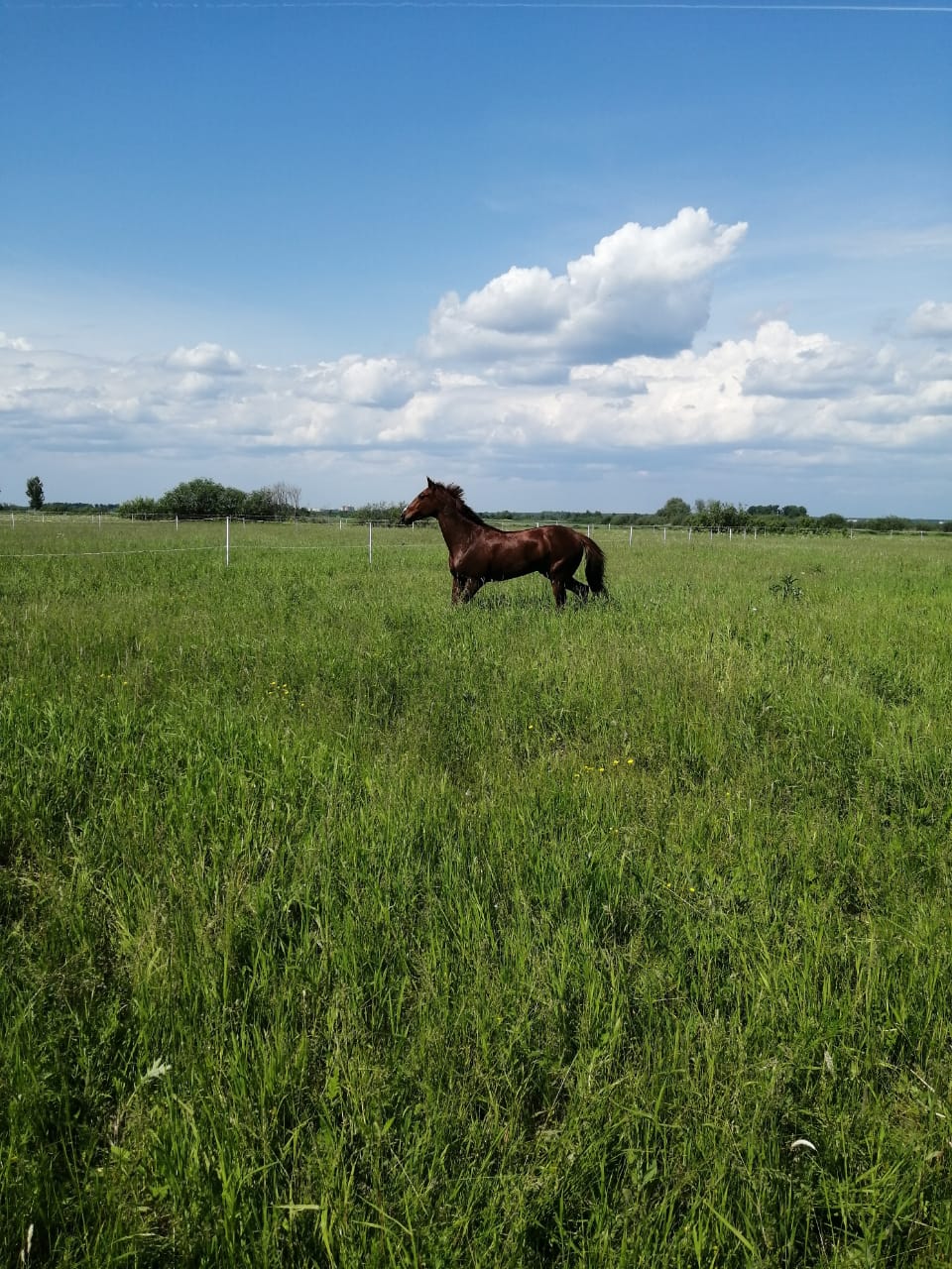 960D3B64-DA7E-4BE4-9427-053BA1734CEC.jpeg