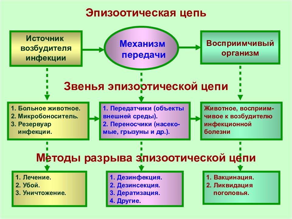 961d6ef7-ea27-4270-8d95-cd1cc87dce38.jpeg