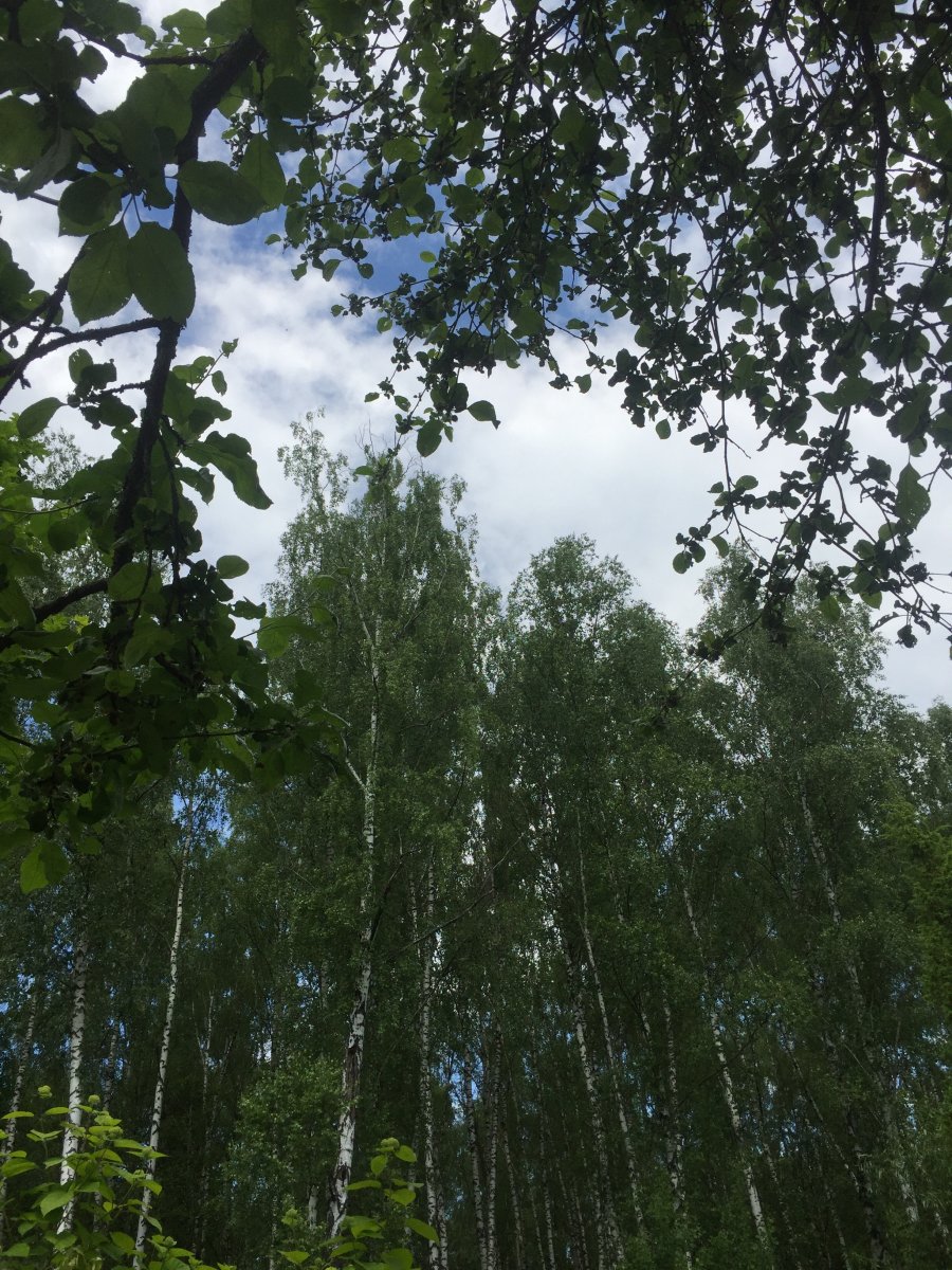 9D94DA28-B0CC-486E-A907-A20E85EF0796.jpeg