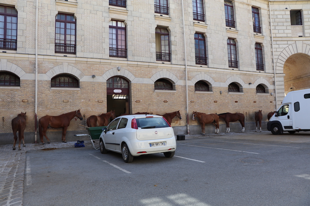 _0260 - copie.jpg