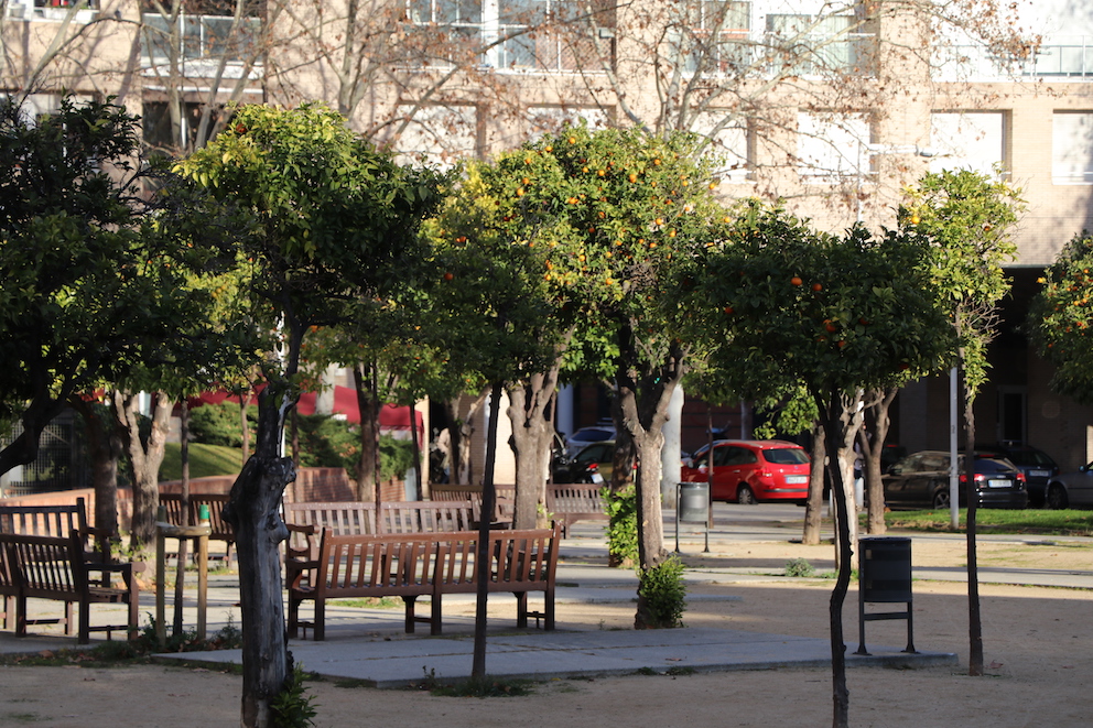 _1432 - copie.jpg