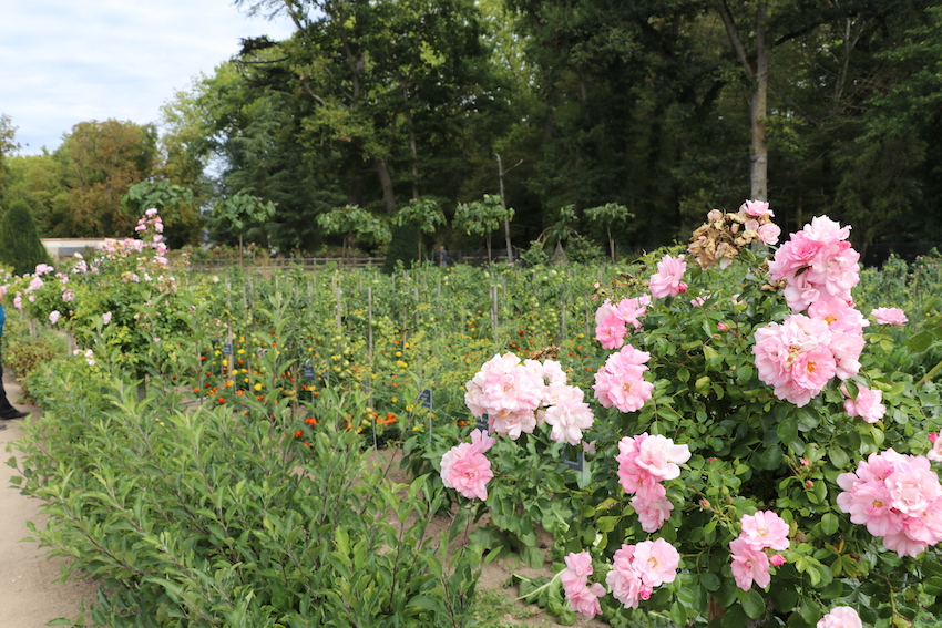 _4086 - copie.jpg