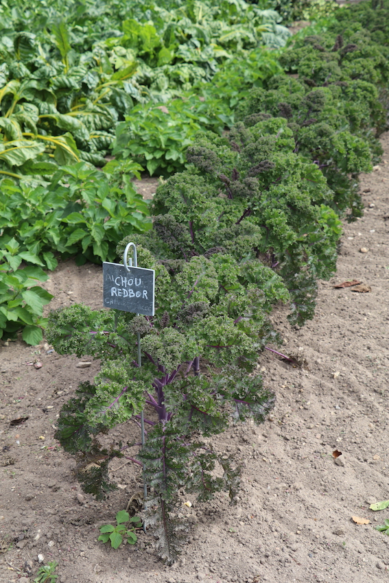 _4089 - copie.jpg