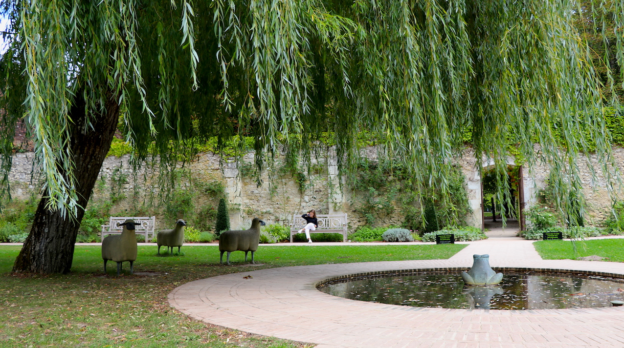 _4186 - copie.jpg