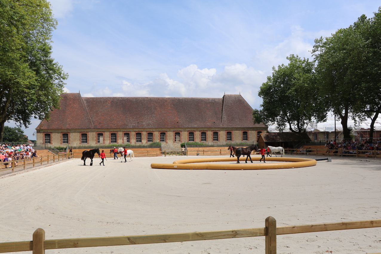 _4626 - copie.jpg
