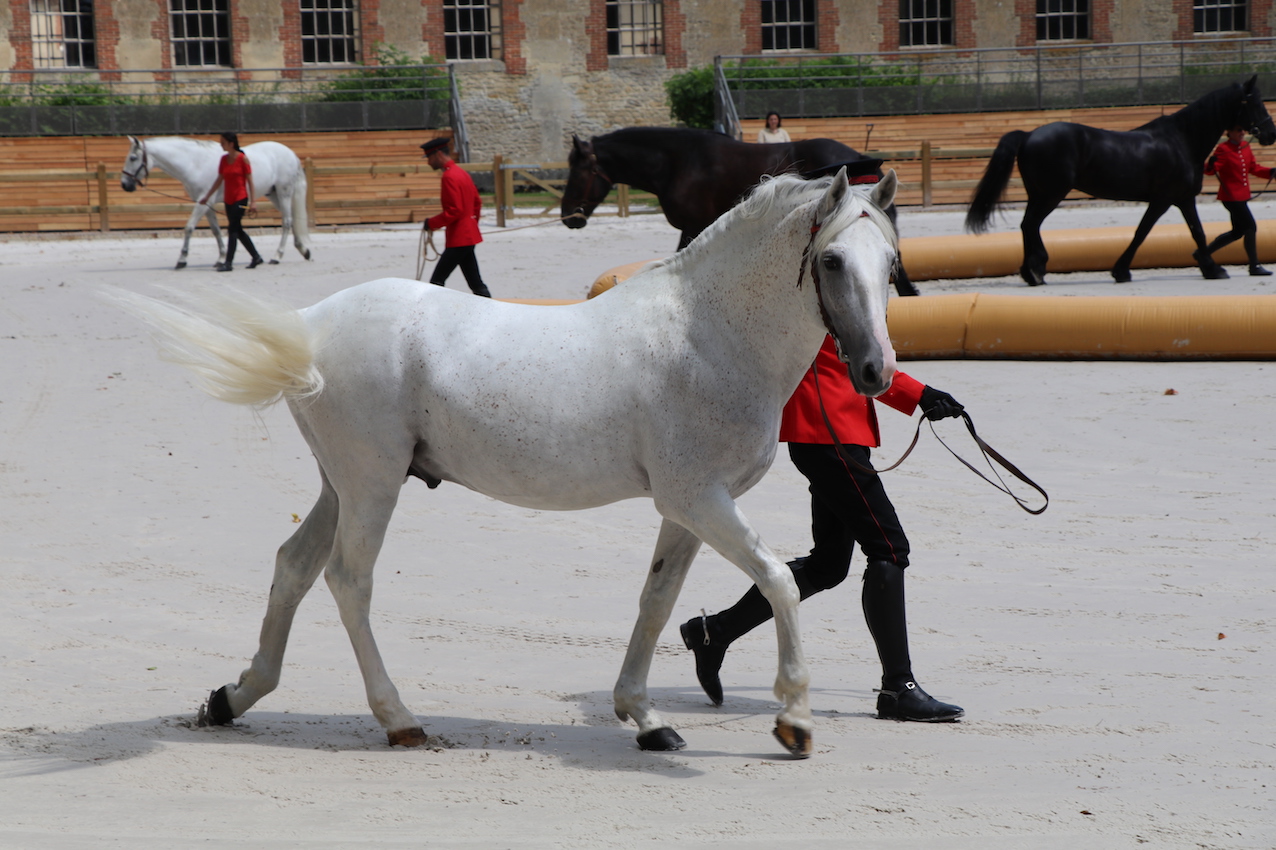 _4629 - copie.jpg