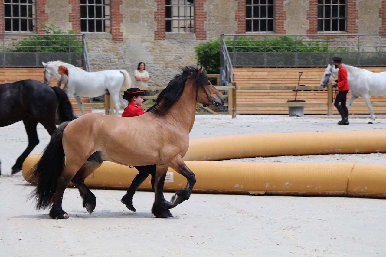 _4642 - copie.jpg