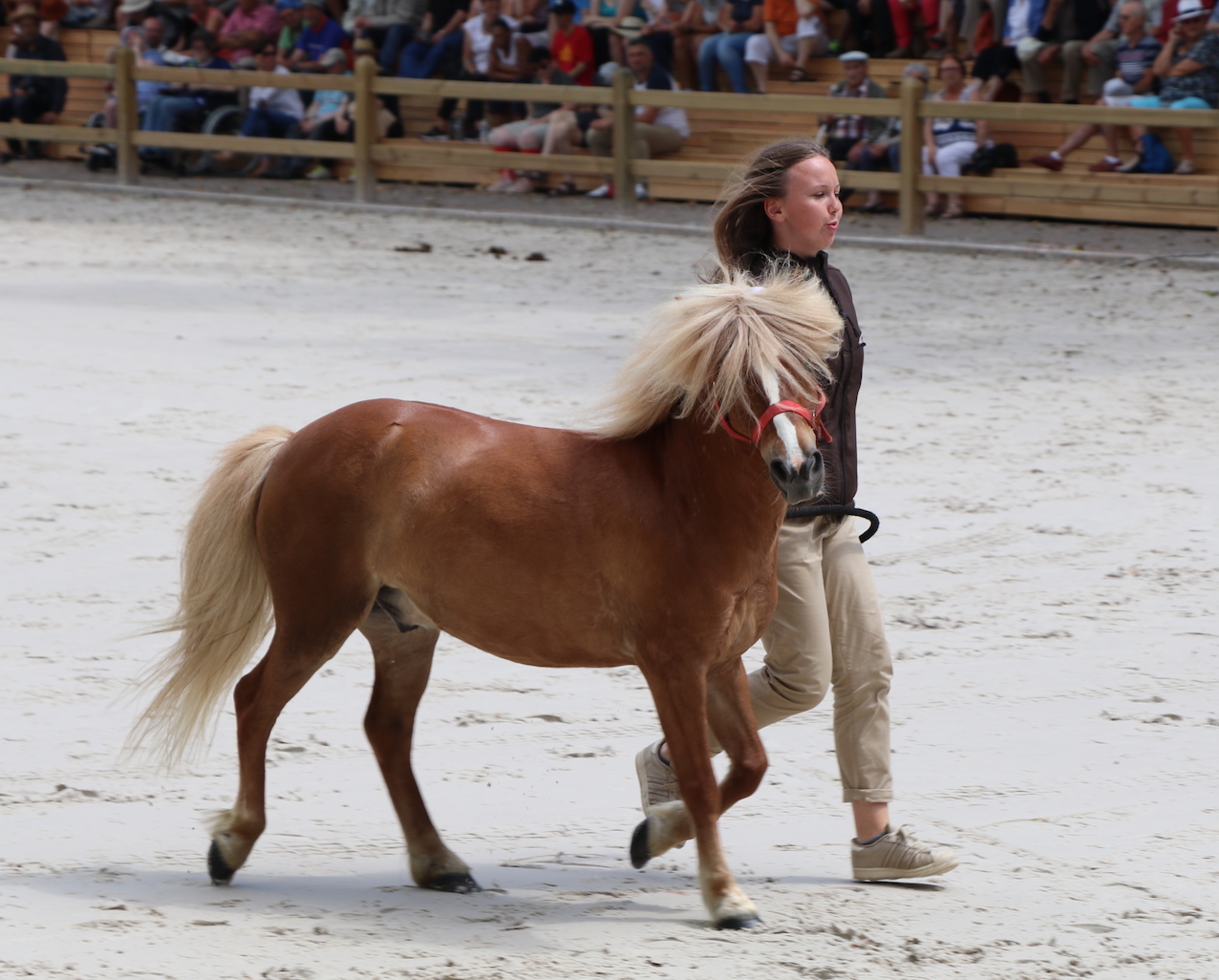 _4712 - copie.jpg