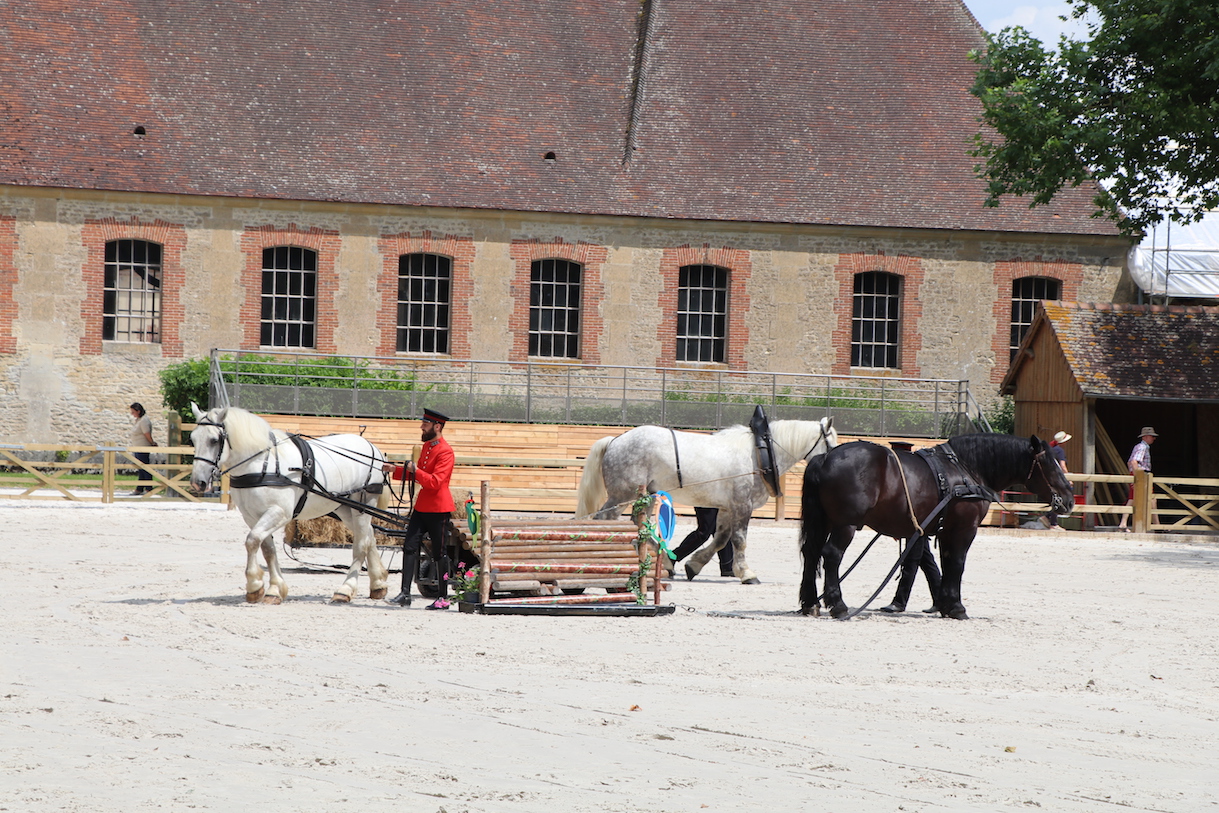 _4738 - copie.jpg