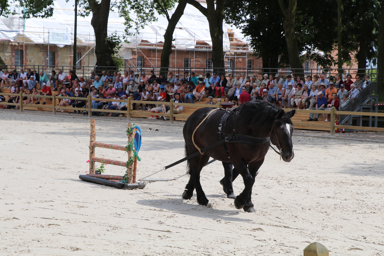_4748 - copie.jpg