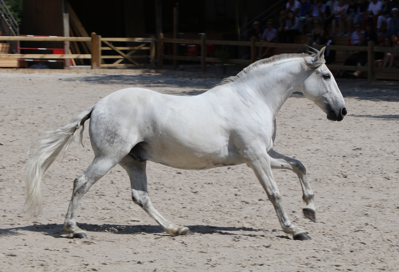 _4944 - copie.jpg