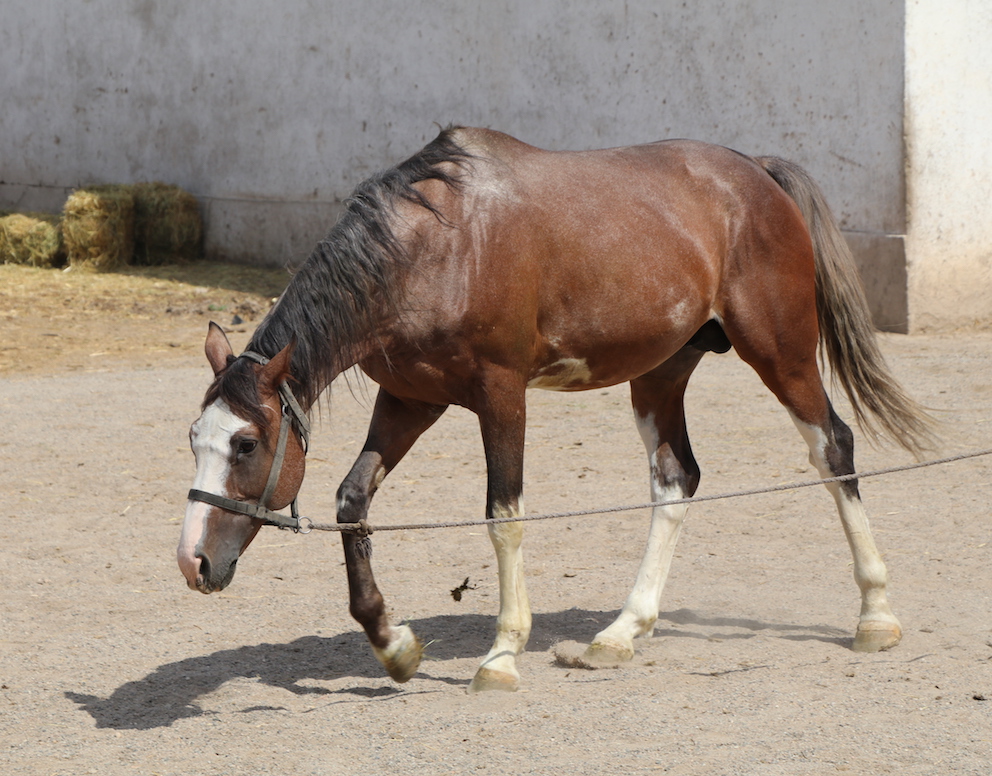 _6501 - copie.jpg