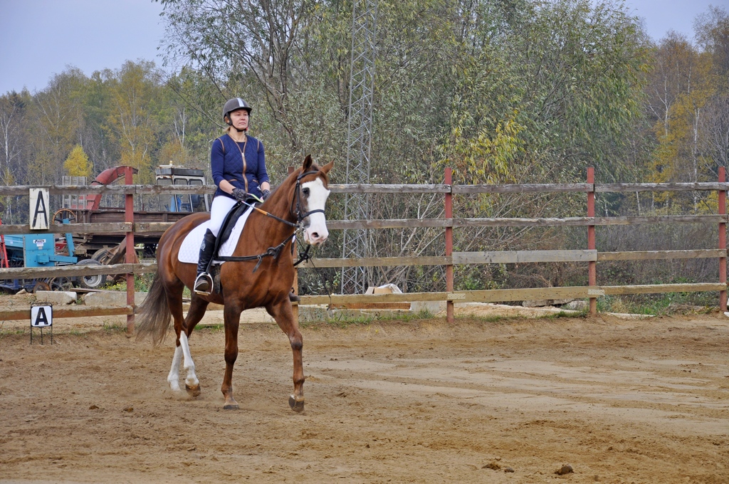 _DSC0358.JPG