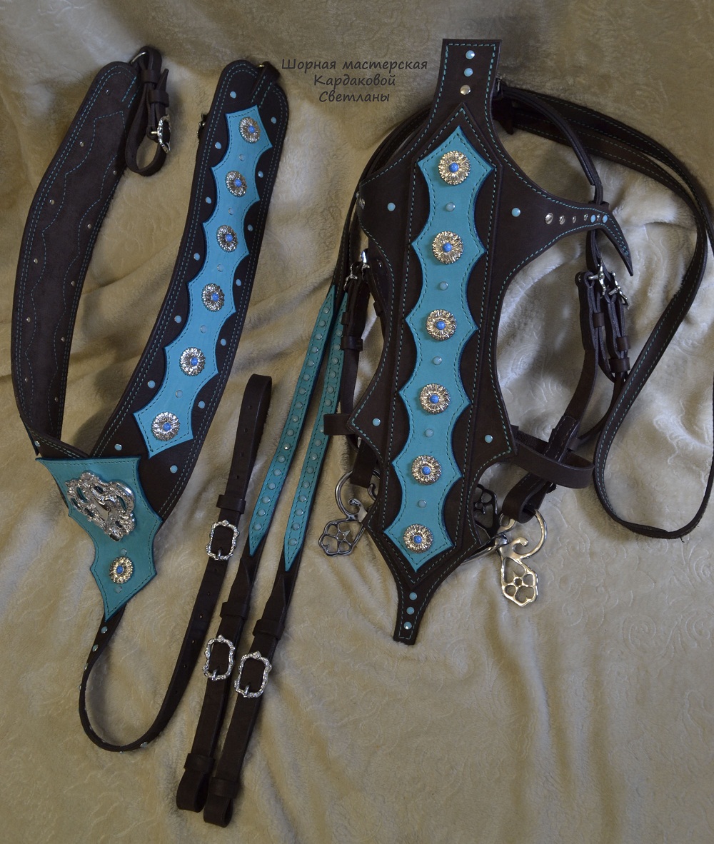 _DSC2840 - копия.JPG