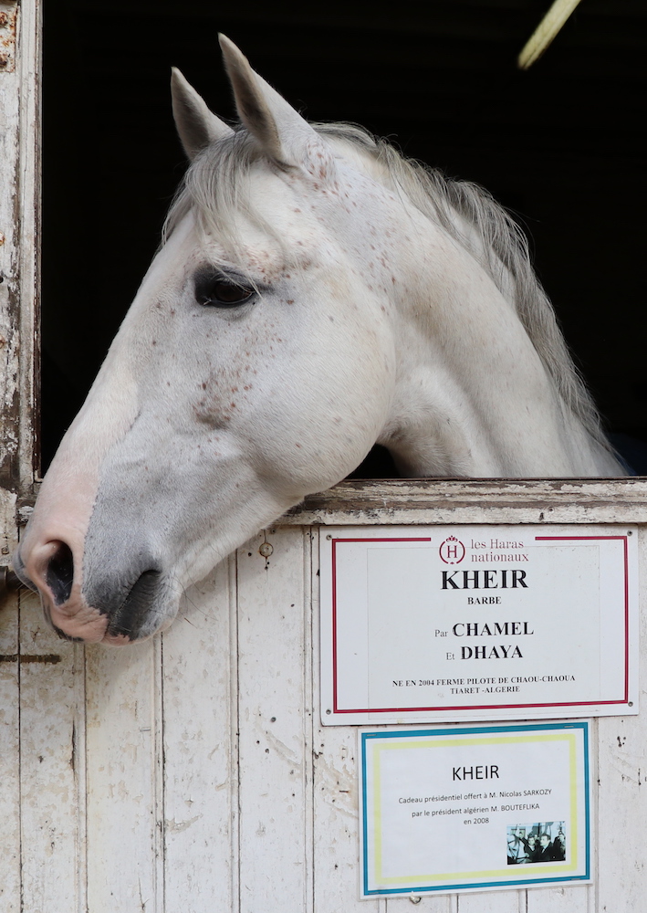 _Kheir_9034 - copie.jpg