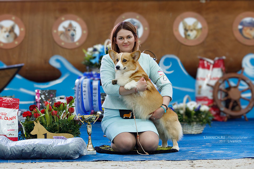 _MG_1067 копия.jpg