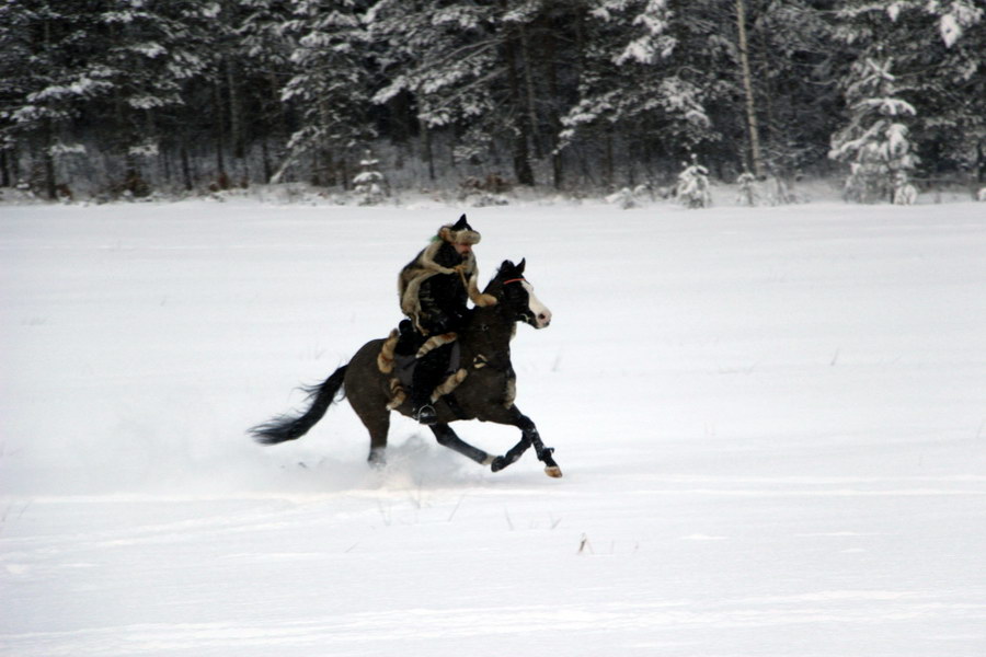 _MG_3308.JPG