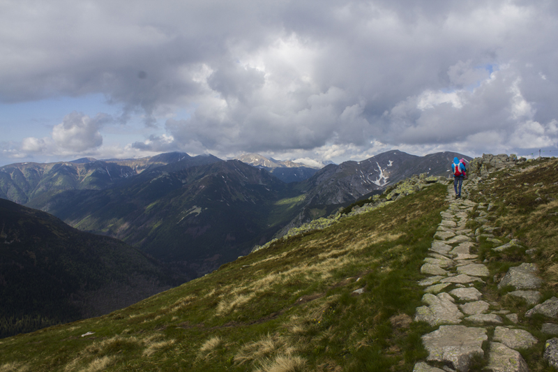 _MG_3805.jpg