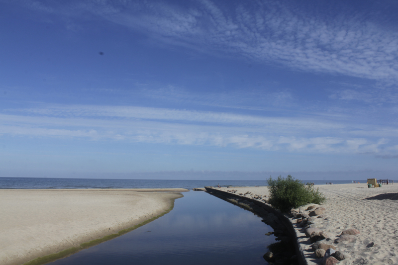 _MG_5148.jpg