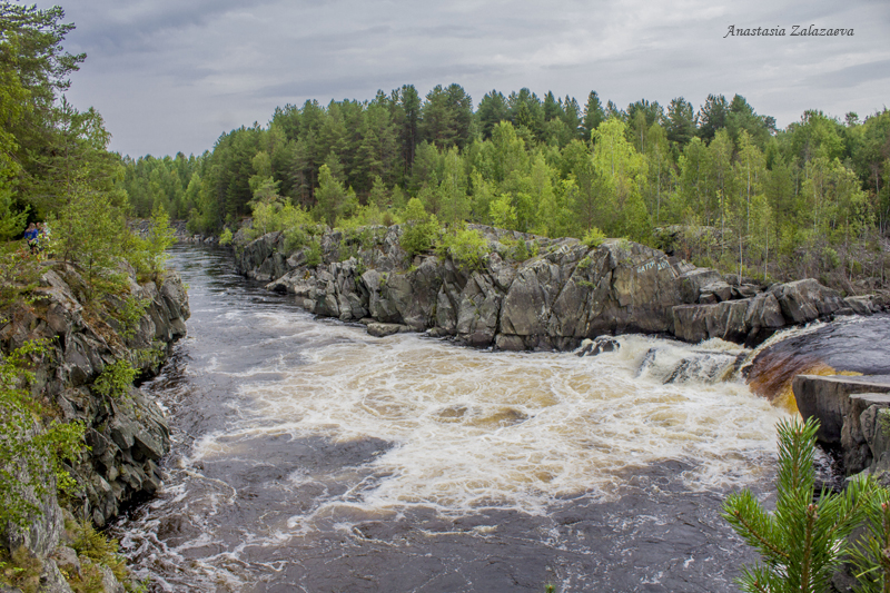 _MG_5458-1.jpg
