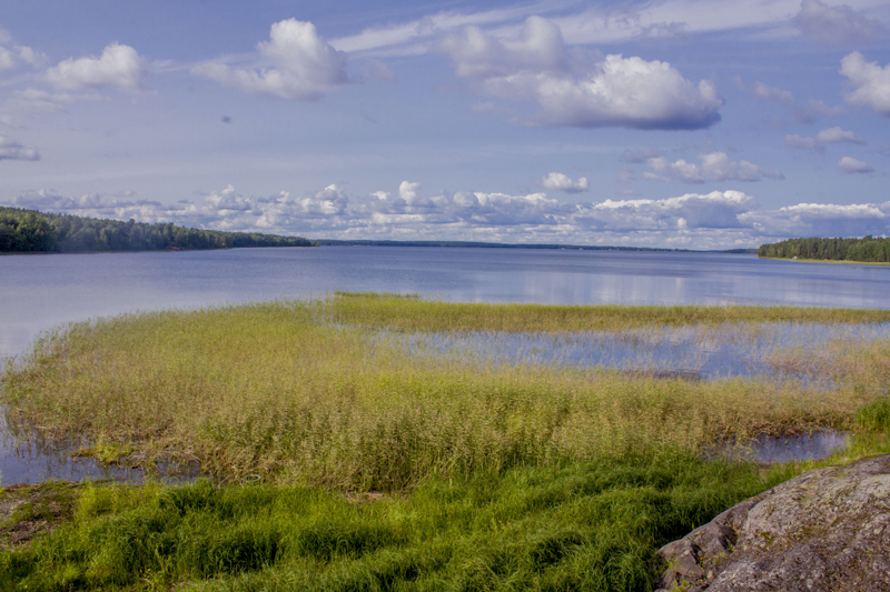 _MG_6122.jpg