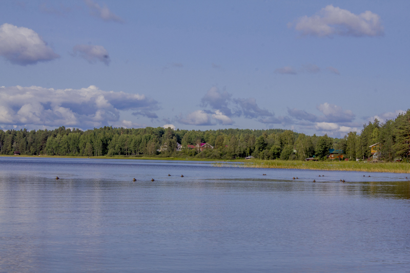 _MG_6147.jpg