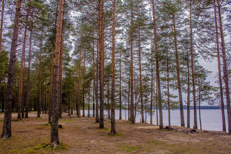 _MG_6206_1.jpg