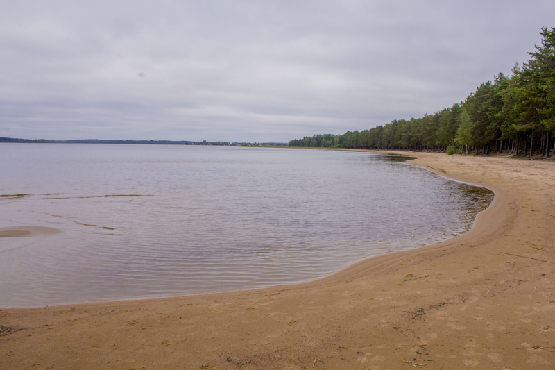 _MG_6241.jpg
