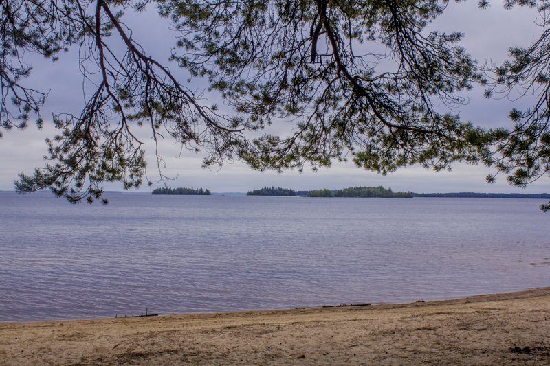 _MG_6255.jpg