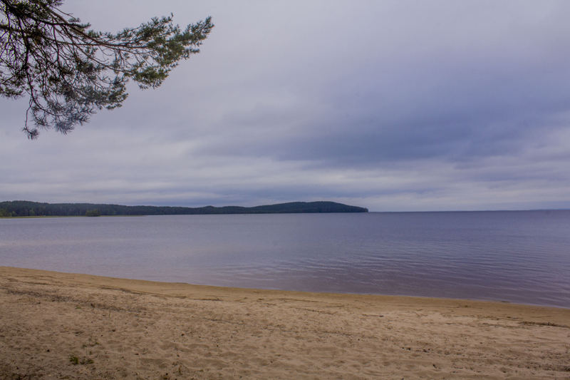 _MG_6261.jpg