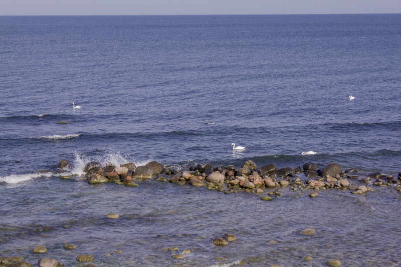 _MG_6733.jpg