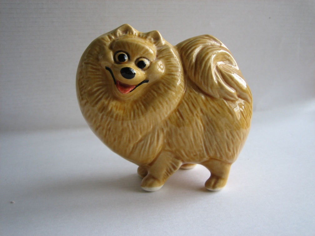 а).Шпиц жолтый.jpg