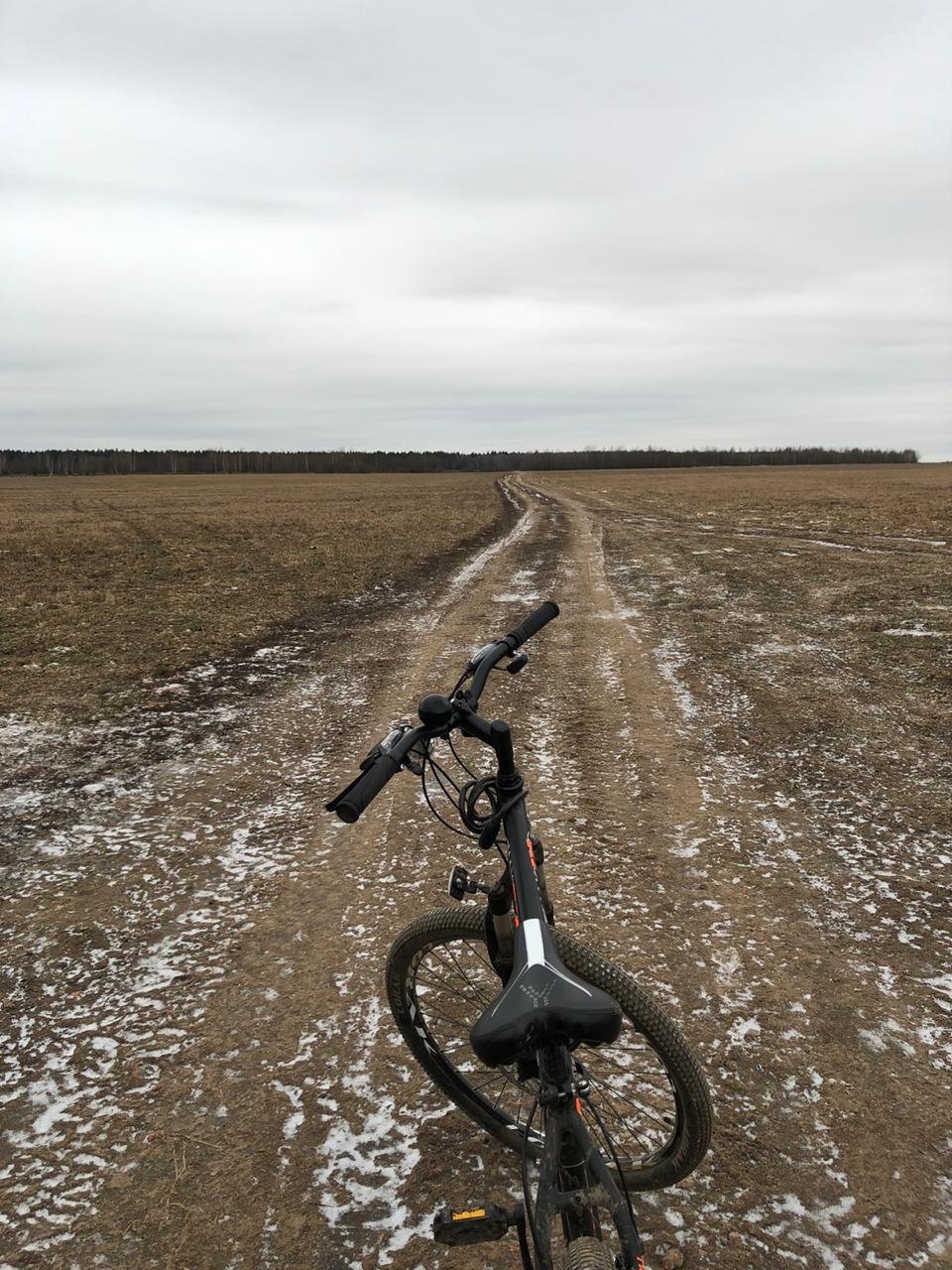 A0AB215D-89A1-4CED-A252-DE0020CEB225.jpeg A0AB215D-89A1-4CED-A252-DE0020CEB225.jpeg