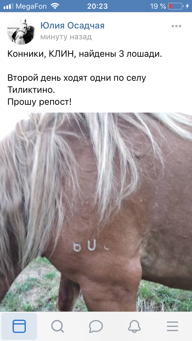 A26C3FA0-6A95-4CD2-AB13-8226885CCD06.png