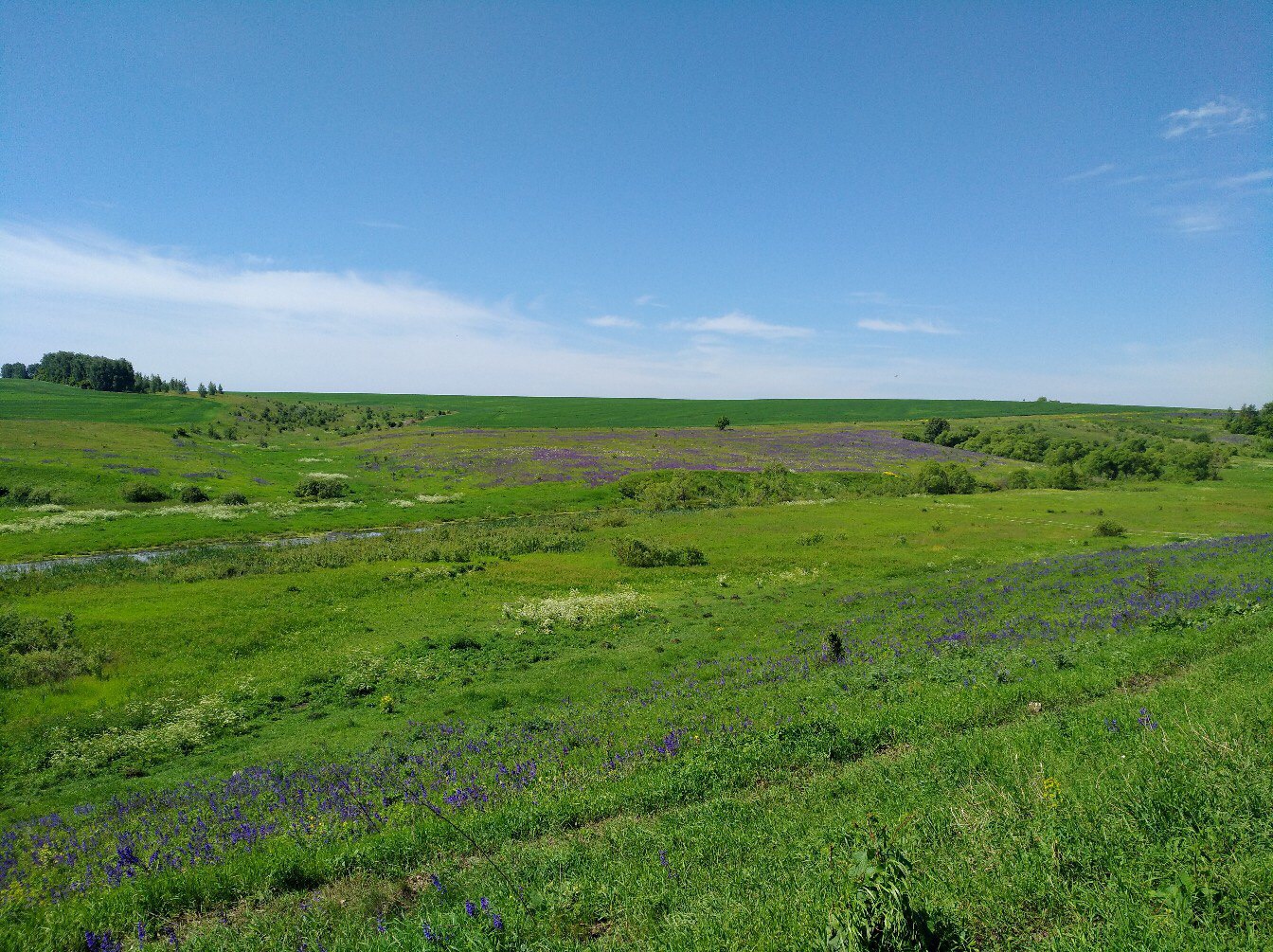 A27F05D1-F0DF-4FEC-9184-BA3D9ED42437.jpeg